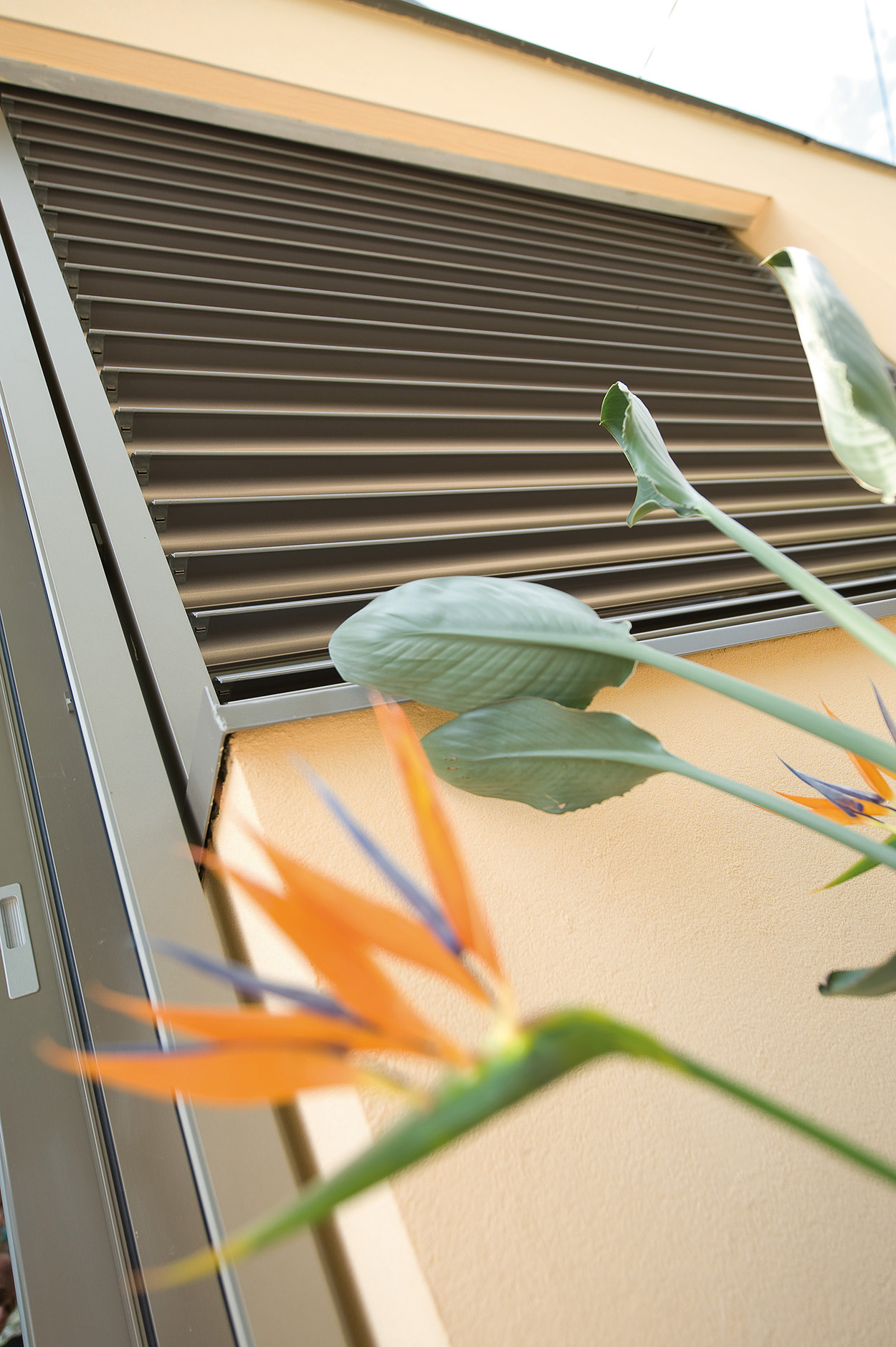 Einfamilienhaus, Ganzmetall Raffstore mit S-Lamelle