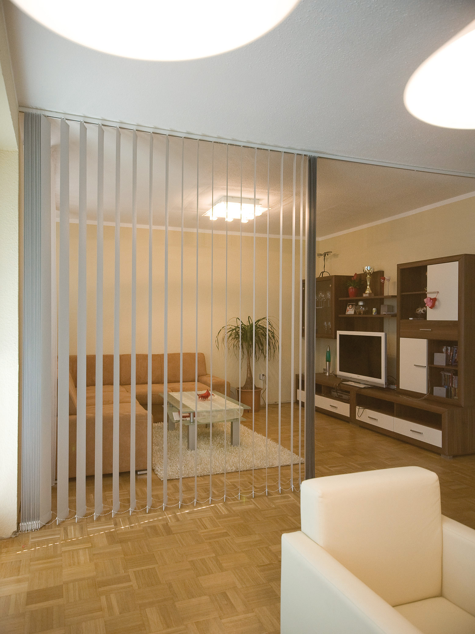 Einfamilienhaus mit Vertikaljalousie