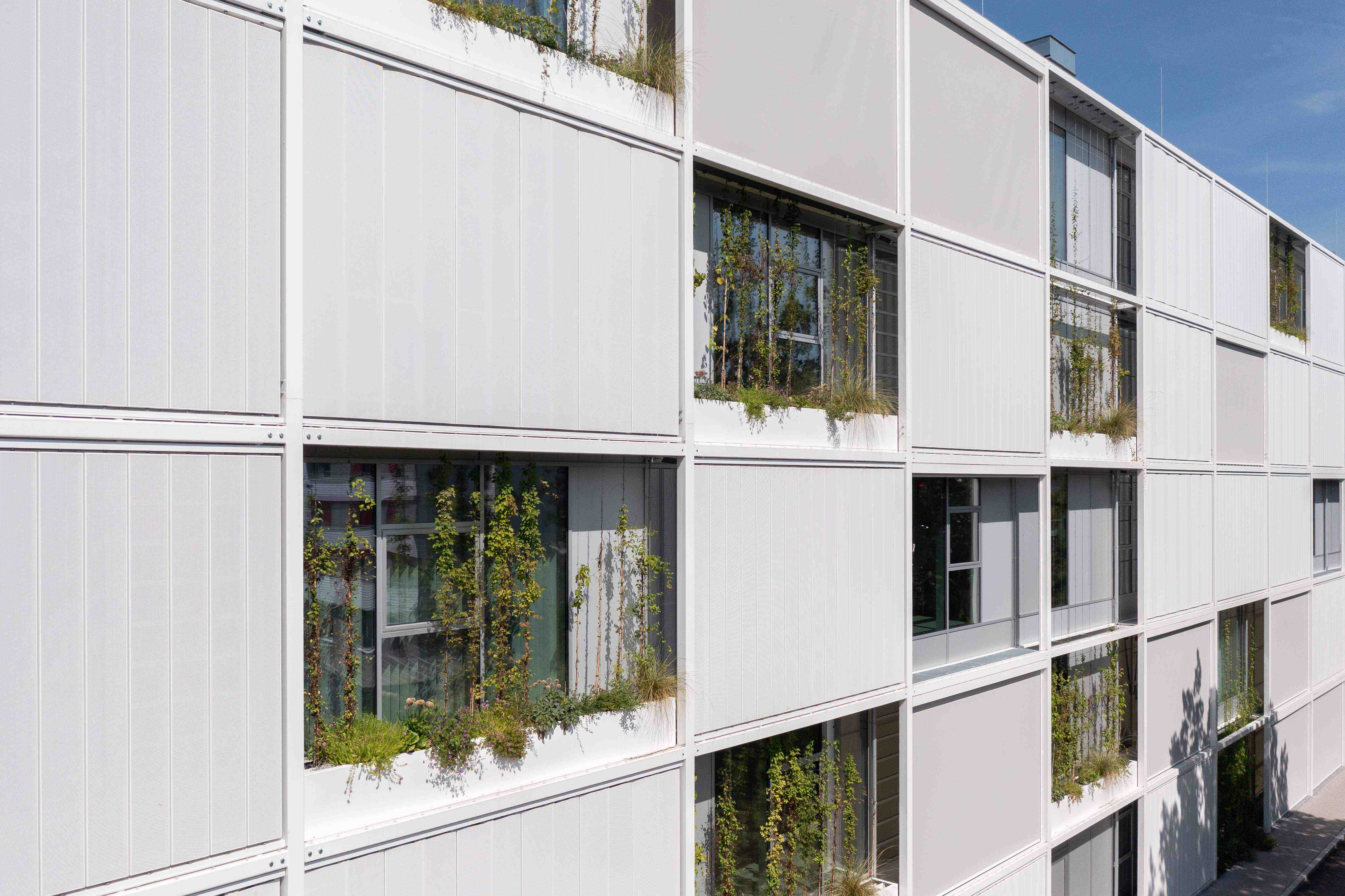 Beschattung JKU Linz, VALETTA Zip-Anlagen