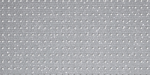 353891 353891