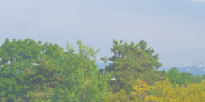 Aktivgaze_Produktbild_1024x1024Px Aktivgaze_Produktbild_1024x1024Px