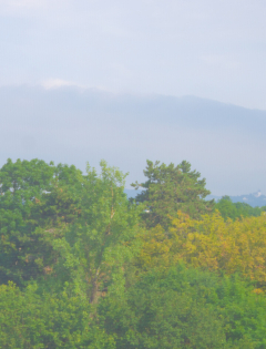 Aktivgaze_Produktbild_1024x1024Px