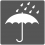 Icon Regenschutz