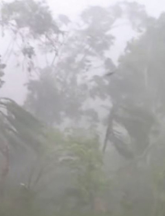 Windstabilität_Sturm